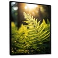 thumbnail image 2 of Designart "Ferns' Wonderland In The Green World V" Ferns Floater Framed Canvas Wall Art, 2 of 5