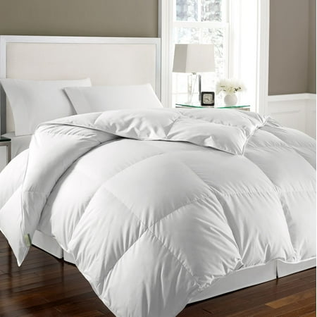 Kathy Ireland 240 Thread Count 100% Cotton Solid Cover White Goose Feather and Goose Down (Best Thread Count For Down Comforter)