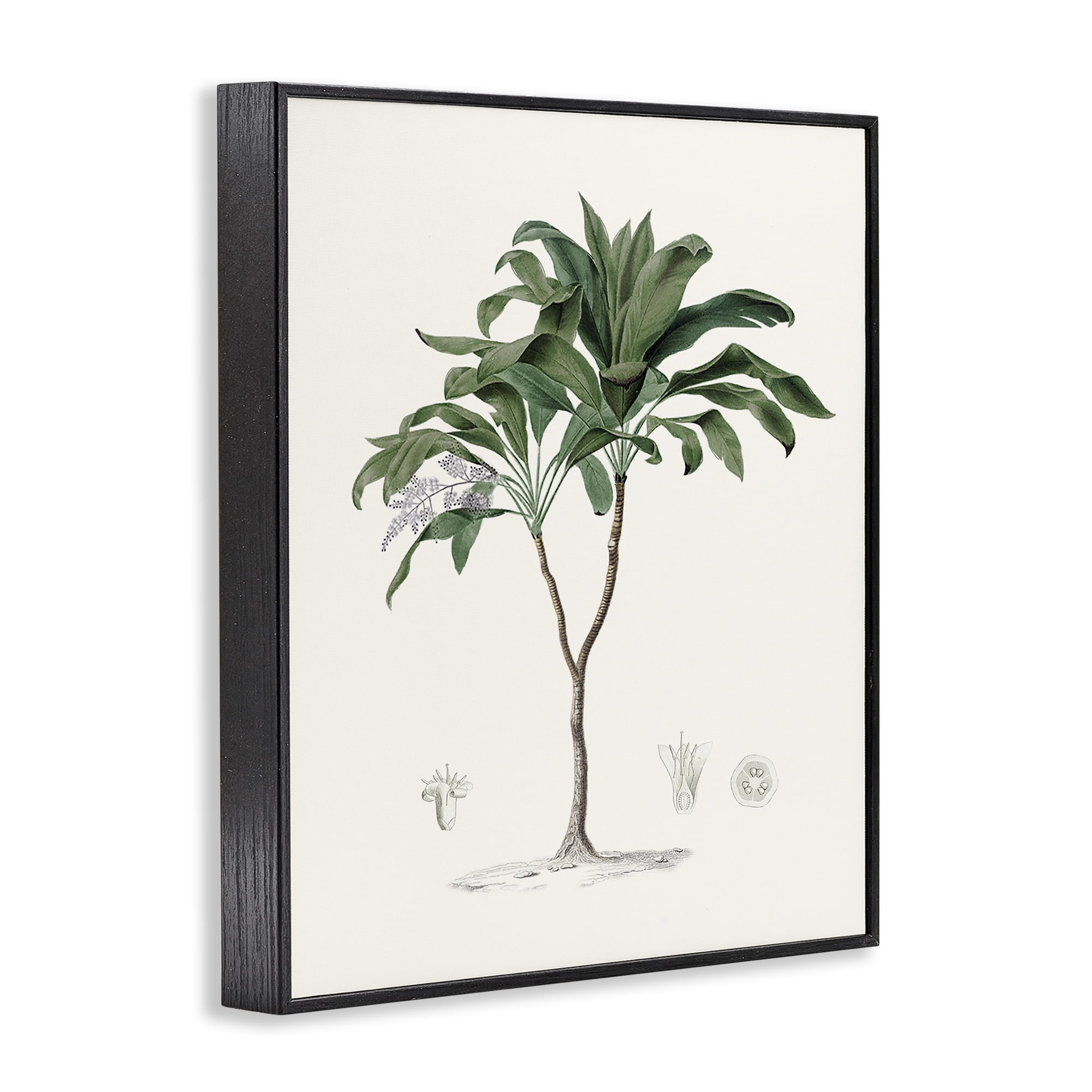 Stupell Industries Coastal Palms Vintage Black Framed Giclee Art, design by Val Rhodes