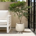 thumbnail image 2 of LuxenHome 14" Dia Large Plant Pot with Drainage, Texutred RoundPlanter Pot for Indoor and Outdoor Plants, 2 of 7