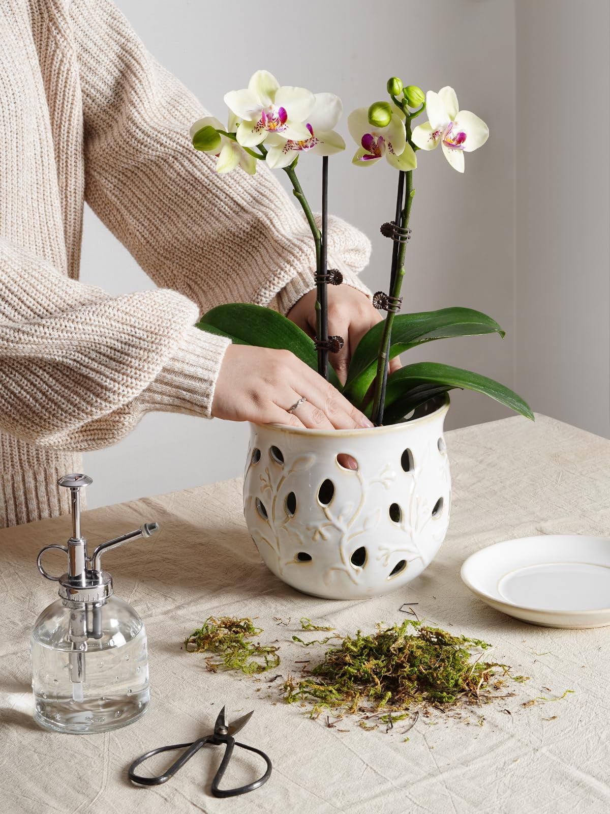 LE TAUCI Ceramic Orchid Pot,6.5" Ceramic Plant Pot with Holes and Saucer,Indoor Flower Pot for Orchid Repotting & Growing,Arctic White (Plant not included)
