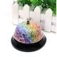 thumbnail image 1 of Flower Ringtones for Teachers - Reception Bell for Hotel Restaurant - Reception Bell for Service - Classroom Bell - Attention Bell - Ringing Bell for Service Bell for Office, 1 of 5