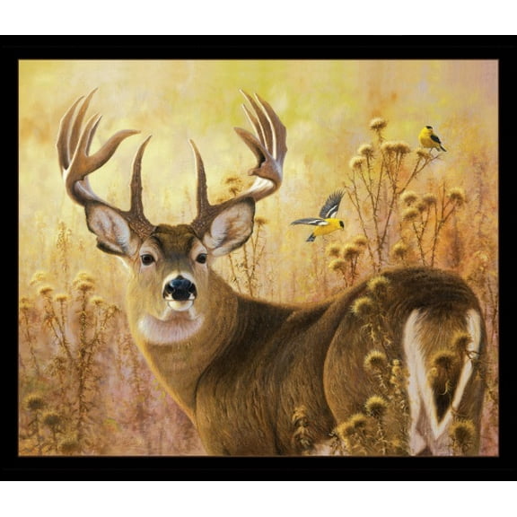 36" X 44" Panel Deer Bucks Animals Woodland Creatures A Buck Stops Here Field Woods Nature Black Cotton Fabric Panel (44001-BLACK) by Elizabeth Studios