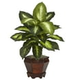 thumbnail image 2 of Nearly Natural 20.5" Dieffenbachia with Wood Vase Artificial Plant (Set of 2), Multicolor, 2 of 5