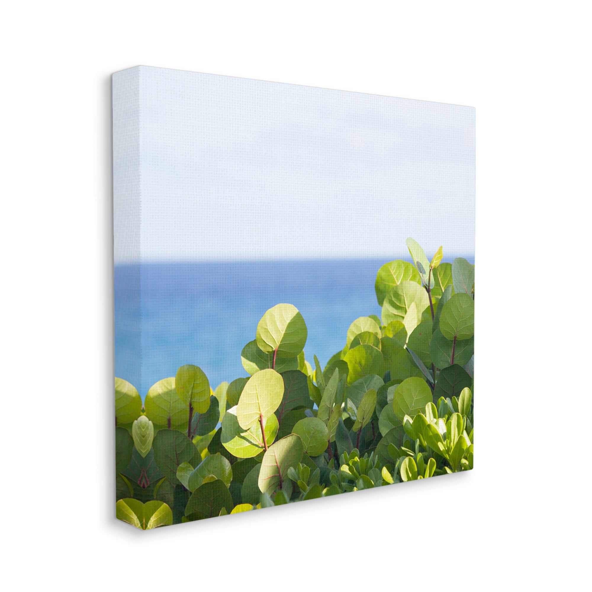 Stupell Industries Lush Greenery Plants Distant Beach Ocean Water Photograph Gallery Wrapped Canvas Print Wall Art, Design by Michael Quackenbush