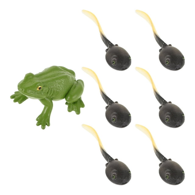 Greenadscape Aquarium Frog Accessories 1 Set Detailed Craftsmanship Plastic Green Pond Animal Collectible