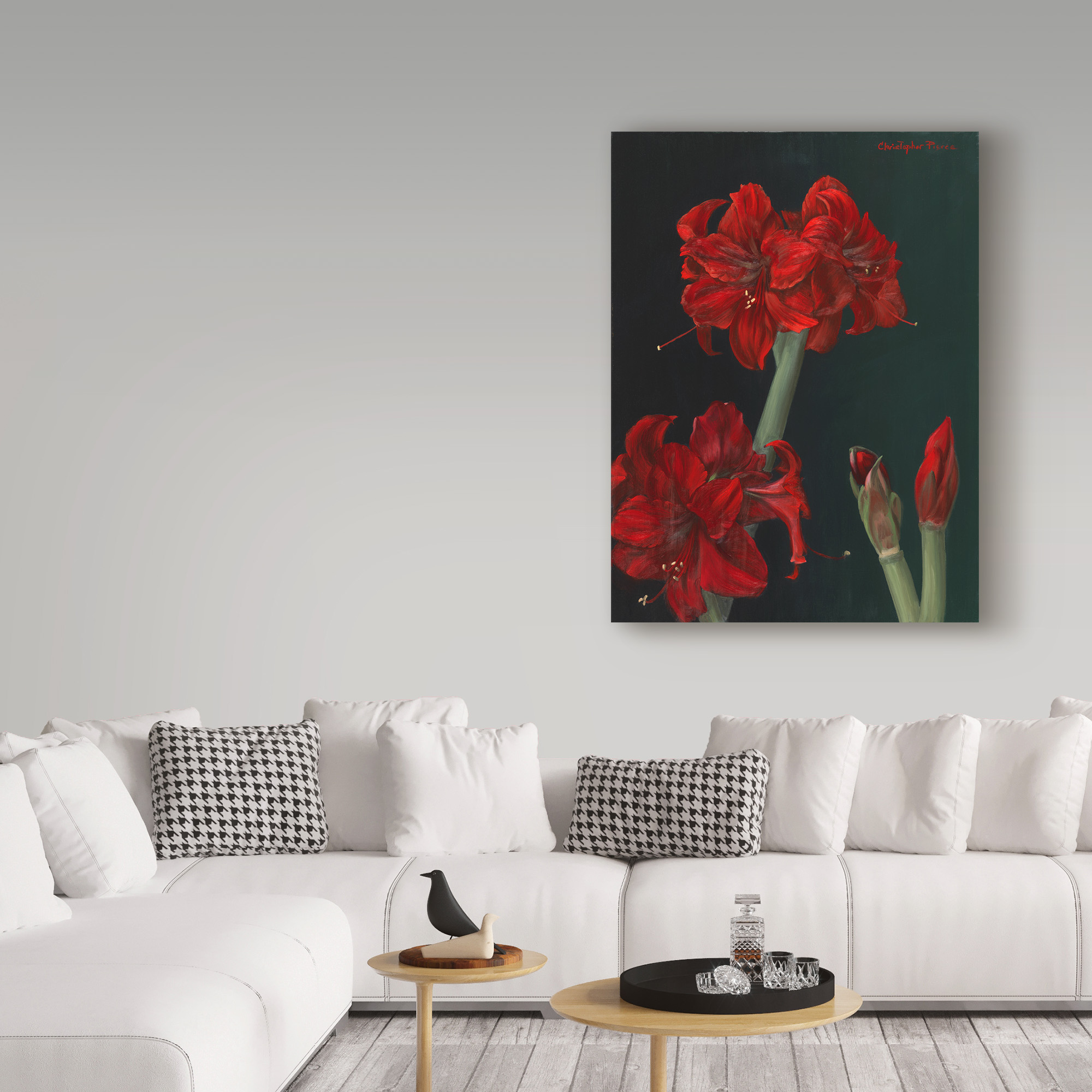 Trademark Fine Art 'Amaryllis Amigo' Canvas Art by Christopher Pierce