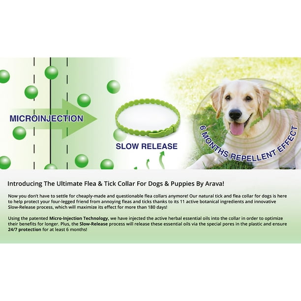Arava Dead Sea Pet Spa Collar botanico para perros para pulgas y garrapatas Libre de productos quimicos peligrosos Arava Dead Sea Pet Spa Arava Dead Sea Pet Spa Collar 22