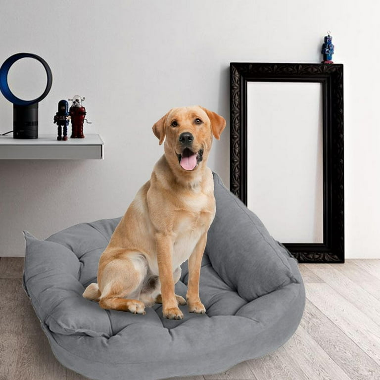 Modern top dog sofa