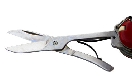 Victorinox Swiss Army Accessories Sm Scissor Screw 6pk 38406 