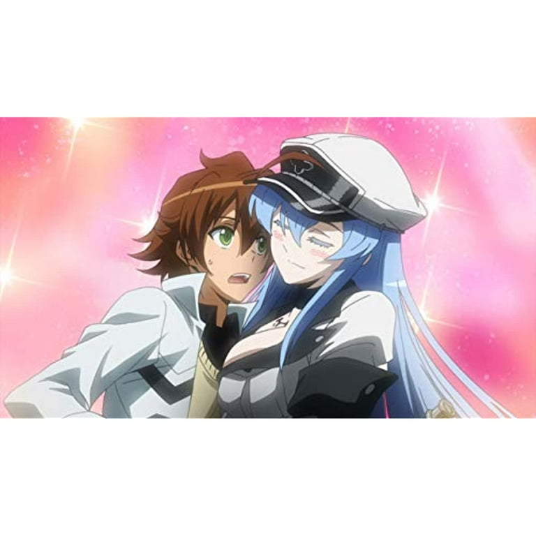 Akame Ga Kill: Complete Collection (Blu-ray), Sentai, Anime