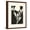 Brown Frame, variant on Art.com Joyful Spring II Black Stretched Canvas Print Wall Art by Moira Hershey, 18" x 24"