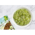 thumbnail image 5 of Salad Mix of Sprouting Seeds, 1 Pound - Broccoli, Clover, Radish, Alfalfa, Kosher, Raw, Vegan - by Food to Live, 5 of 7