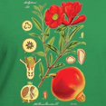 thumbnail image 3 of CafePress - Vintage Pomegranate Women's V Neck Dark T Shirt - Women's V-Neck Dark T-Shirt, 3 of 4