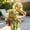 C, variant on Garden Iris for Yard Borders, Landscaping & Containers-Easy Grow-Low Effort-Ideal for Plant Pots & Planters