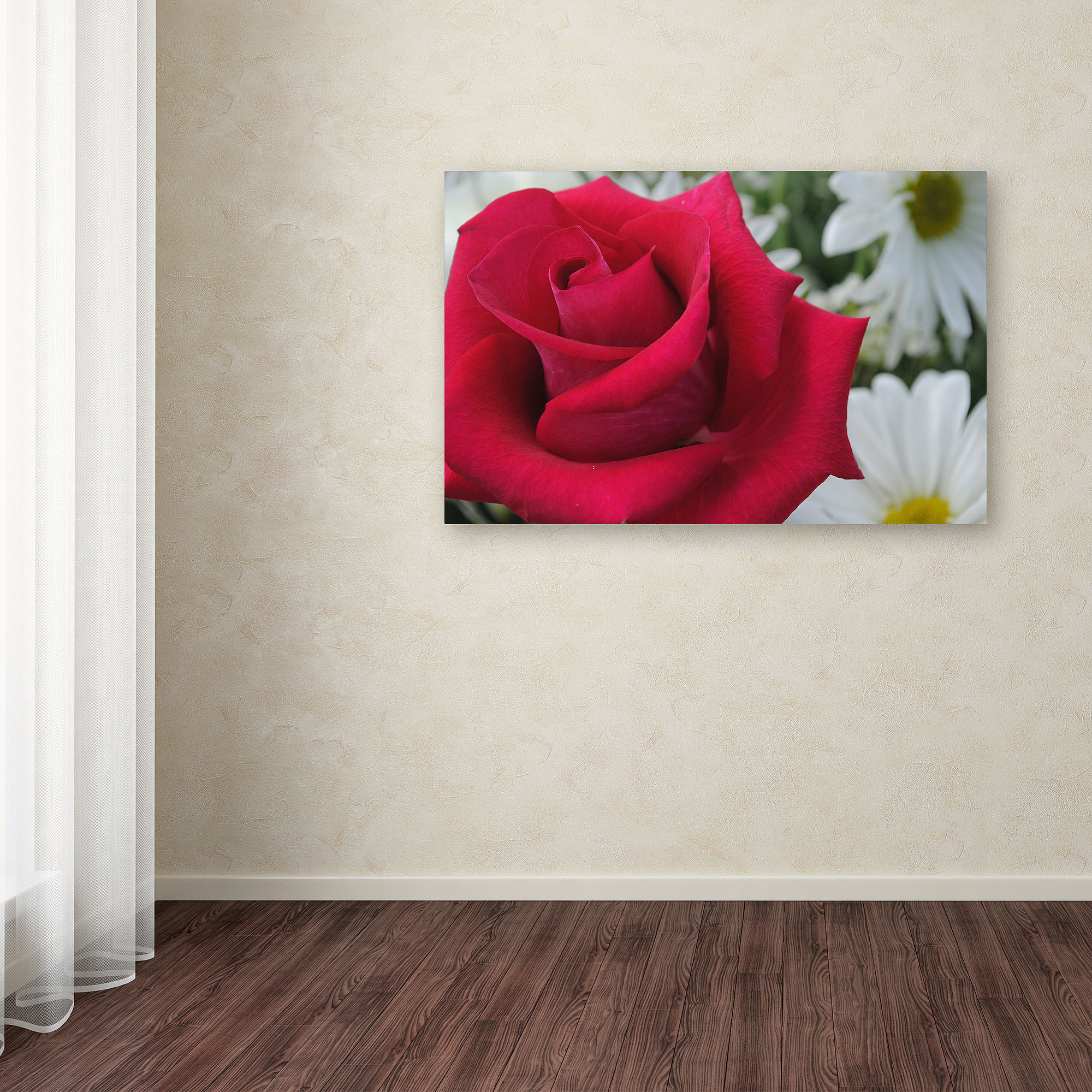 Trademark Fine Art "Pristine" Canvas Art by Monica Fleet