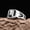 AJZ1699 Scorpio, variant on Twelve Constellation Copper Ring For Men Vintage Style