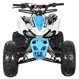motto_kuma tarptotarp　白 TAO MOTOR 125 CHEETAH PLATINUM ATV, Green, 120cc Engine, Automatic