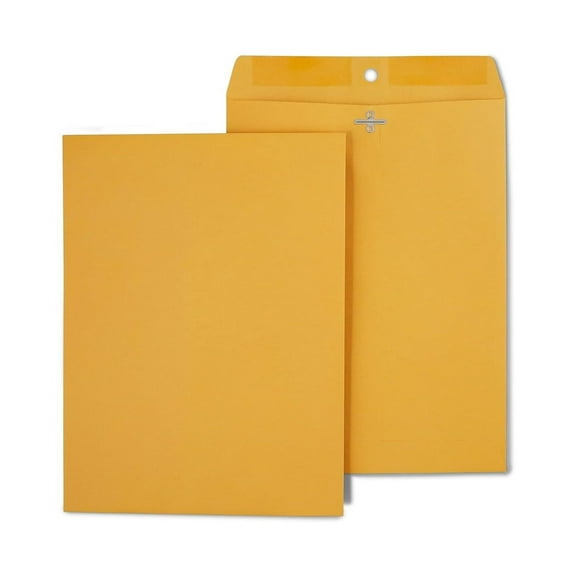 CintBllTer 487493 Brown Clasp Envelopes 9-Inch X 12-Inch 250/Box