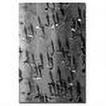 Trademark Fine Art "Point of View" Canvas Art by Beata Czyzowska Young