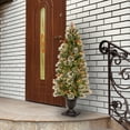 thumbnail image 3 of National Tree Company 5 ft. Wintry Pine Entrance Tree with Clear Lights, 3 of 4