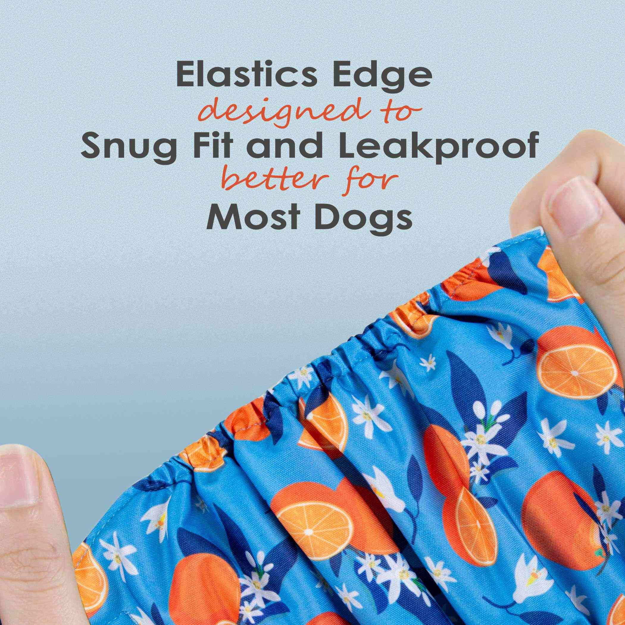 Wegreeco Pack of 4 Reusable Male Dog Belly Band, Washable Premium Male Dog Diapers, Super-Absorbent Dog Wraps(Fruit, Adventure, Small)