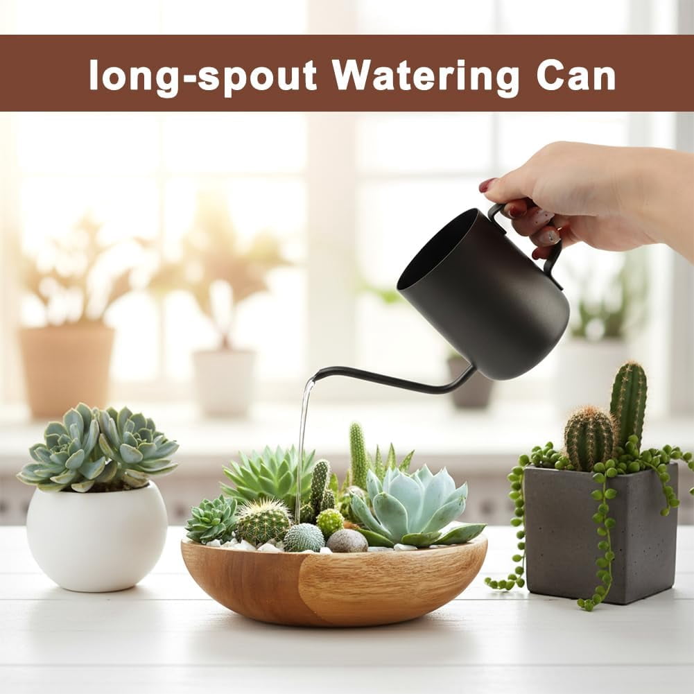 Watering Can for Indoor Plants, 12 oz / 350 ml Mini Plant Waterer, Stainless Steel with Long Spout House Succulents and Garden Decorative, Gentle Flow & No Spills