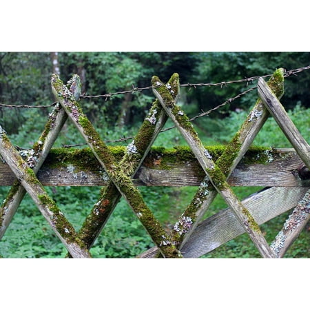 Canvas Print Limit Protection Battens Paling Fence Wood Fence Stretched Canvas 10 x