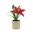 thumbnail image 1 of Toystoory Simulación decorativa en maceta, flores frescas de larga duración, plantas decorativas exquisitas para el hogar Decoración del hogar tipo+4, 1 of 6