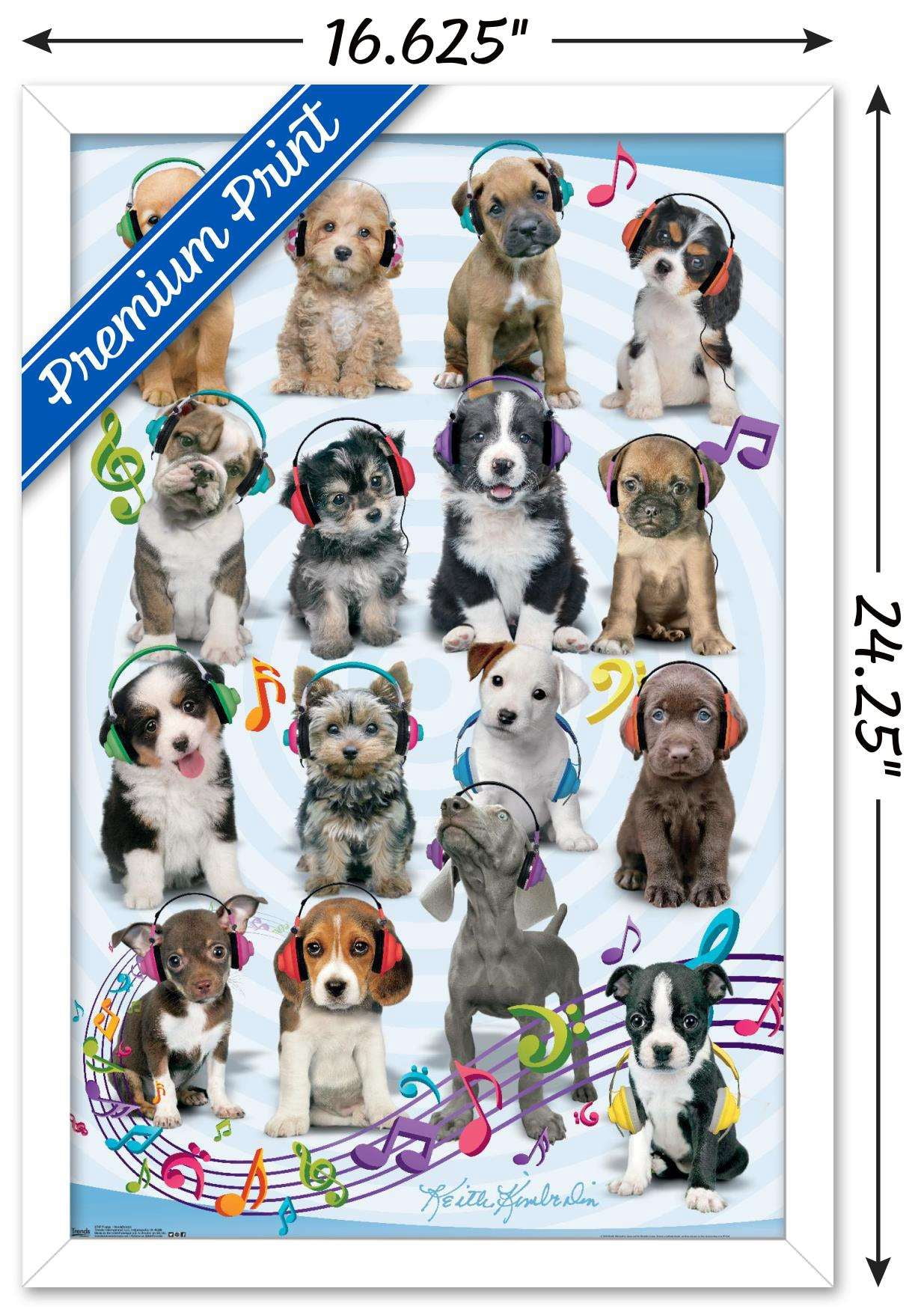 Keith Kimberlin - Puppies - Headphones Wall Poster, 14.725" x 22.375", Framed