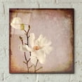thumbnail image 4 of Epic Art 'Paper Magnolia Duo' by Lightbox Journal, Acrylic Glass Wall Art, 12"x12", 4 of 8
