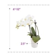thumbnail image 7 of Just Add Ice Mini Orchid Plant, 6-10” Tall, White Orchid, 2.5” White Ceramic Pot, 7 of 7