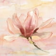 thumbnail image 3 of Nan 12x12 Black Modern Framed Museum Art Print Titled - Dreamy Magnolia II, 3 of 5