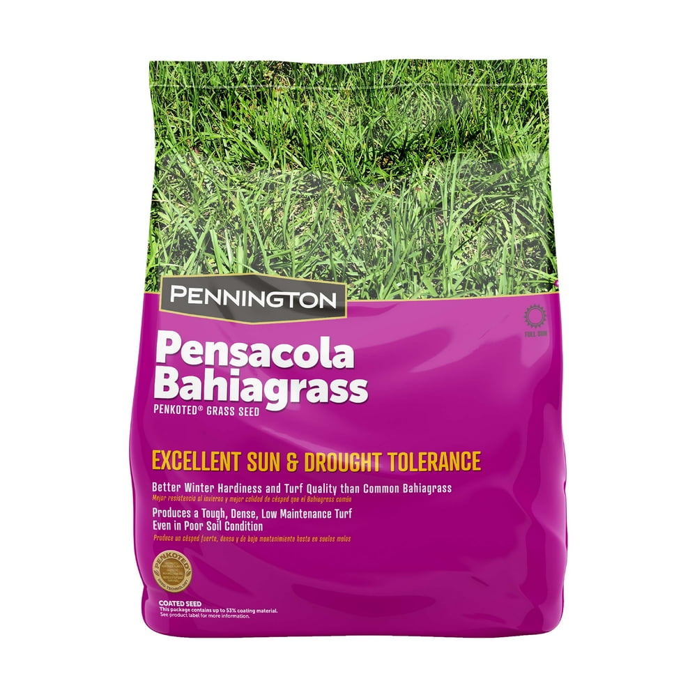 Pennington Pensacola Bahiagrass Grass Seed, for Southern Lawns; 2 Pound