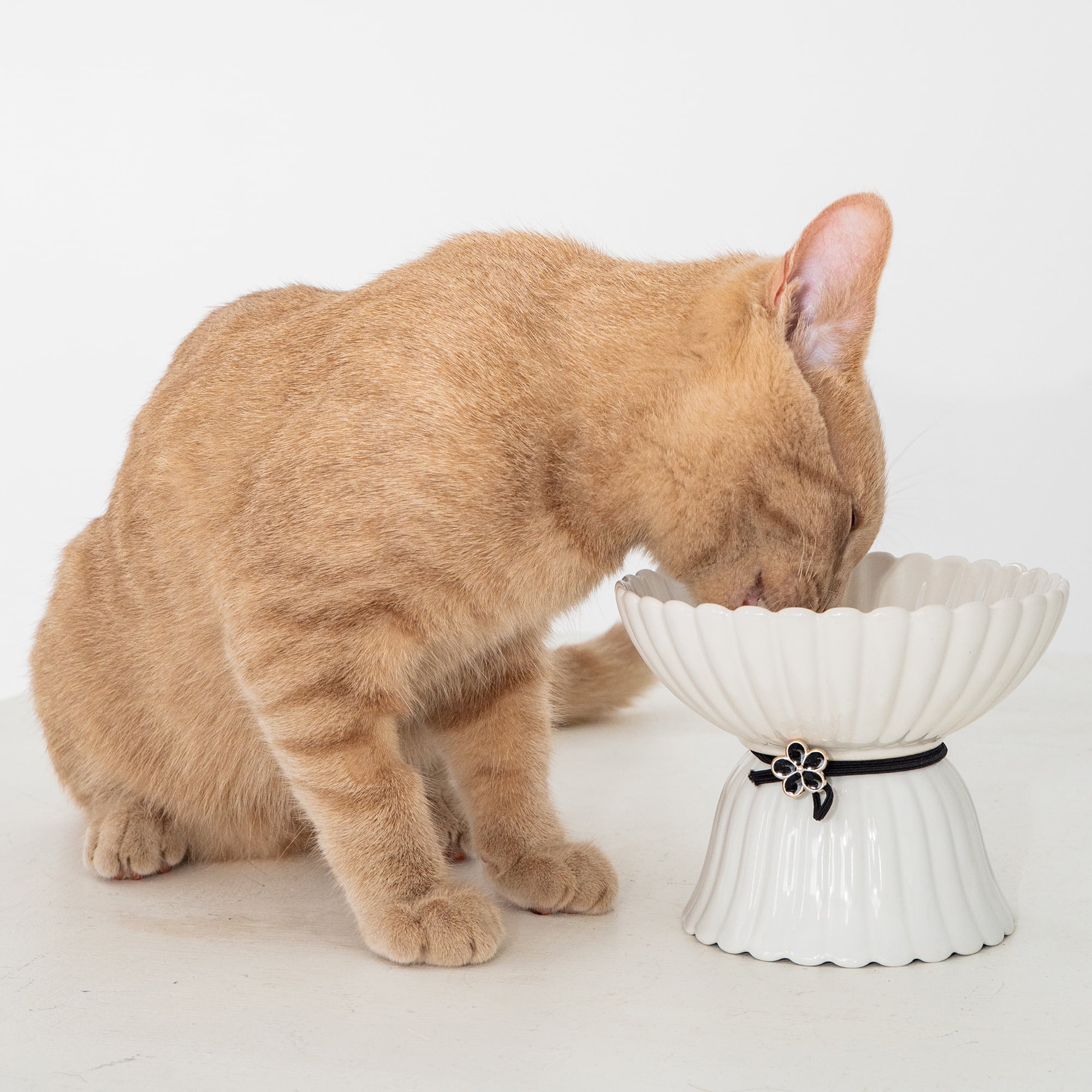 Dexypaws: Elevated Ceramic Bowl For Cats - White & Black Flower - 8.45oz Capacity, Pet Feeding Dish, Dishwasher Safe, Food & Water, Ergonomic Height