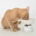 thumbnail image 2 of Dexypaws: Elevated Ceramic Bowl For Cats - White & Black Flower - 8.45oz Capacity, Pet Feeding Dish, Dishwasher Safe, Food & Water, Ergonomic Height, 2 of 6