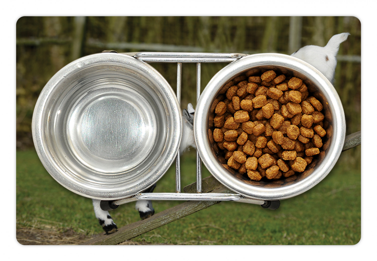 Animal Pet Mat for Food and Water, Little Baby Goats on a Bench Their