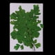 thumbnail image 4 of 12 piezas de flores flores secas reales flores hojas pintura de flores de bricolaje, fotografía de decoración para niños, 4 of 9