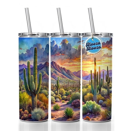 Saguaro National Park Arizona Watercolor Style 20oz Insulated Water Bottle Skinny Tumbler Includes Straw