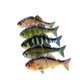thumbnail image 5 of Señuelo de pesca biónico Cuerpo duro Señuelo de hundimiento Pesca de 3 segmentos, 5 of 8