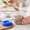 B, variant on SHJHENG Cute Bear Print Airtight Storage Canister With Blue Cover 3 Sizes Clear Round Dry Food Container For Spice Nut Pasta Fruit Tea Pantry Kitchen Organizer