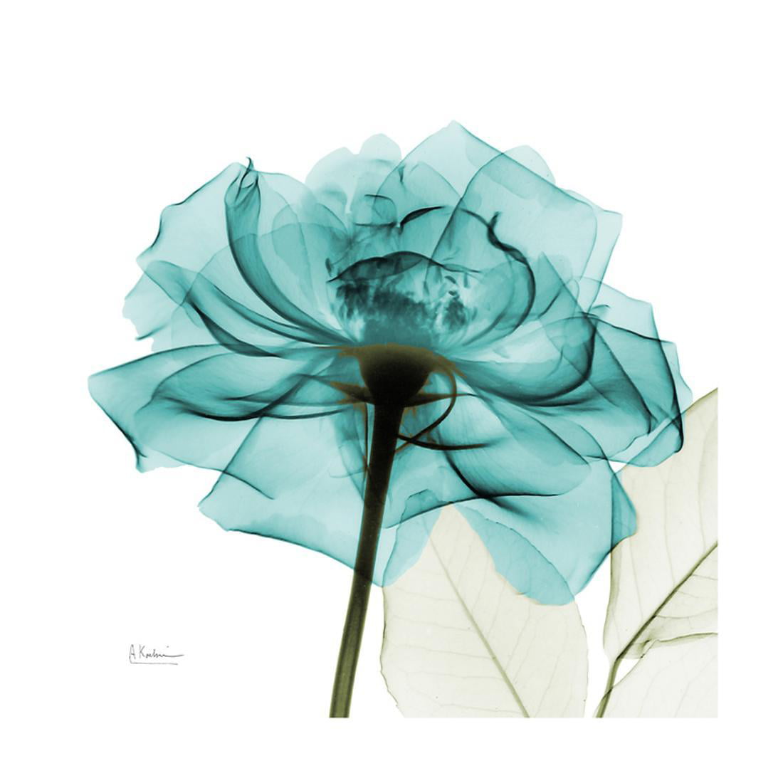 Teal Rose Blue Flower X-Ray Photography Print Wall Art By Albert