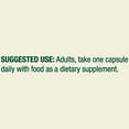 thumbnail image 6 of Spring Valley L-Theanine Dietary Supplement Capsules for Mood Support, 100 mg, 100 Count, 6 of 11