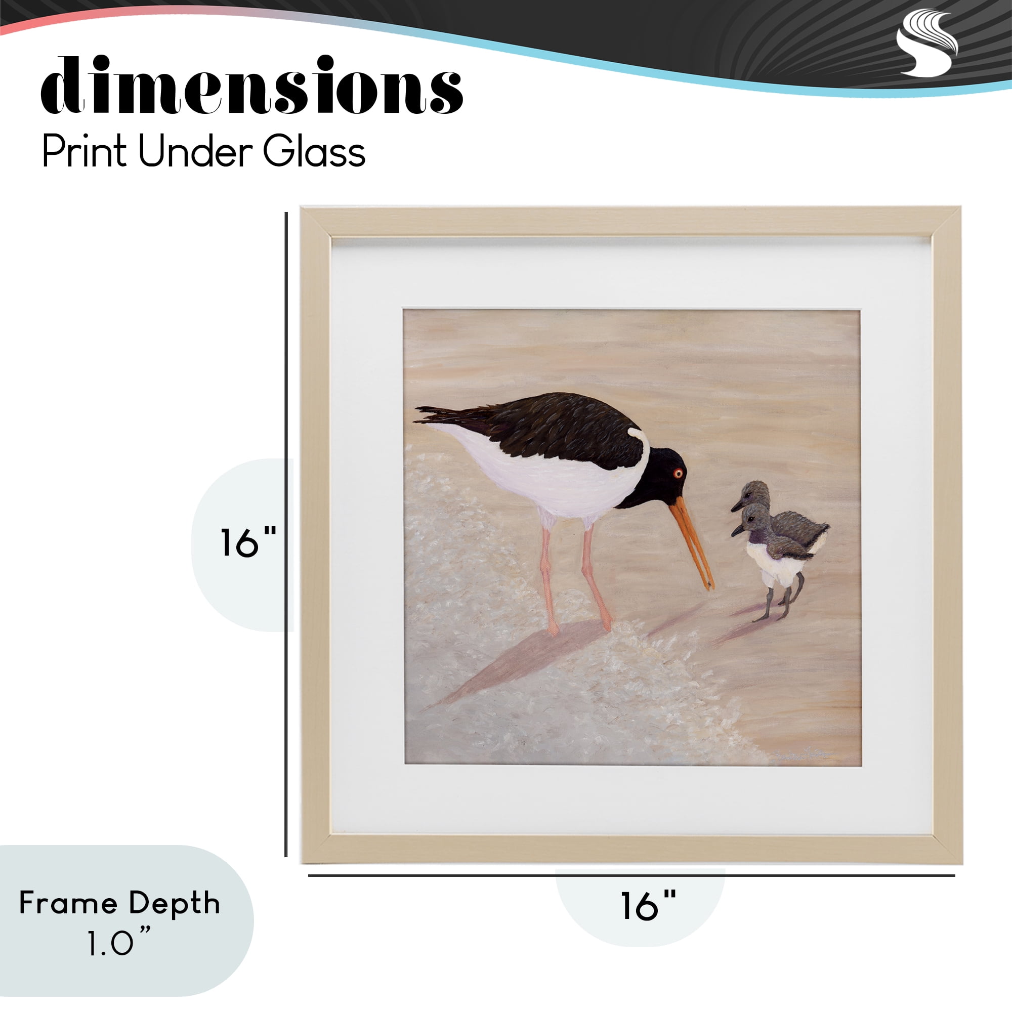 Stupell Industries American Oyster Catcher & Chicks Birch Framed Print Under Glass, design by Barbara Fallenbaum
