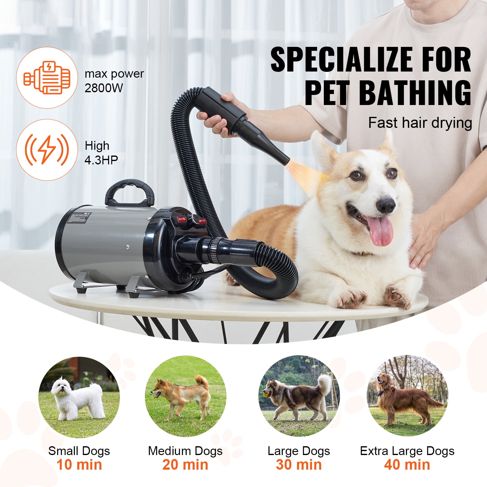 BENTISM Dog Dryer, 2000W Pet Hair Force Dryer Grooming Blower with Adjustable Speed and Temperature Control with 4 Different Nozzles Extendable Hose, Grey