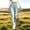 Light Blue, variant on Qulqfy Petite Women's Jeans in Store Skinny Navy Stretchy High Waisted Denim Casual Jeans Womens Sweatpants XL