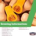 thumbnail image 2 of Harris Seeds Squash Waltham Butternut Yellow Treated Variety, 250 Count, 2 of 7