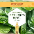 thumbnail image 4 of Burt's Bees Natural Pet Care Soothing Hot Spot Spray for Dogs, 10 oz, 4 of 9