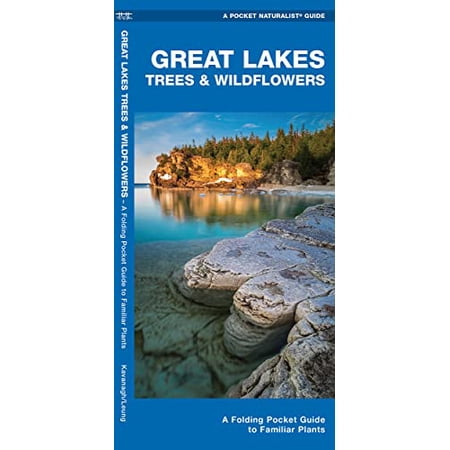 Pre-Owned Great Lakes Trees & Wildflowers (Misc.) 1583551263 9781583551264