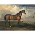 thumbnail image 2 of James Ward 14x11 Black Ornate Wood Framed Double Matted Museum Art Print Titled: Eagle, a Celebrated Stallion (1809), 2 of 5